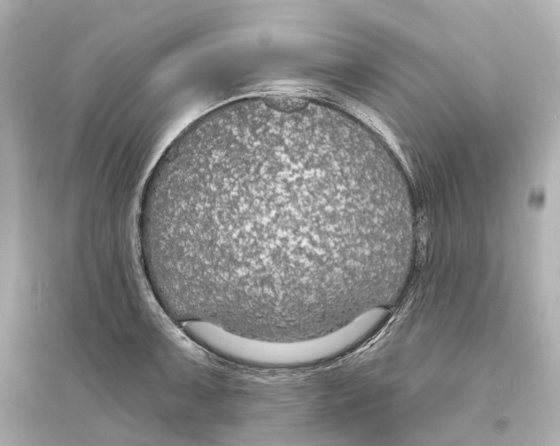 X0000093761091200711131143