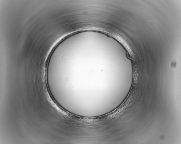 X0000093761092200711131143