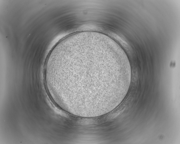 X0000093761094200711131143