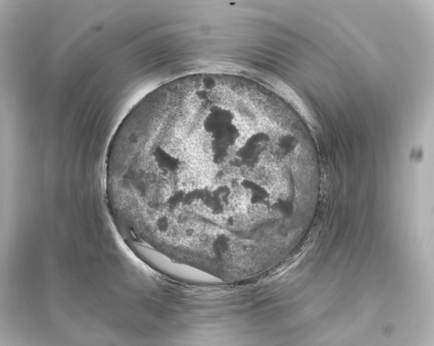 X0000093761095200711131143