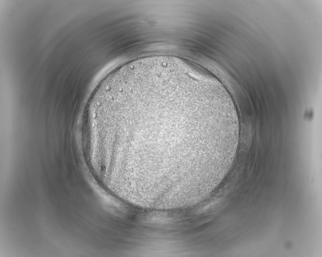 X0000093761098200711131143