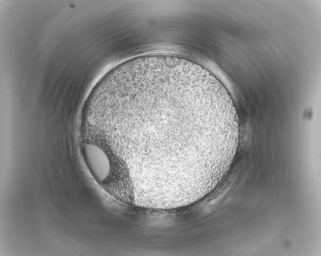 X0000093761099200711131143