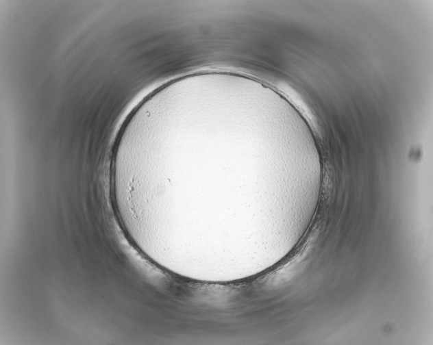 X0000093761100200711131143