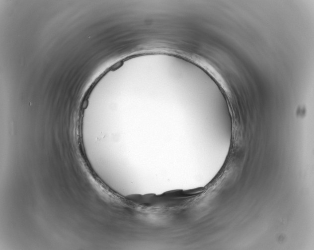 X0000093761101200711131143