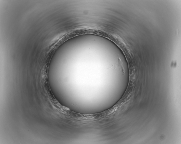 X0000093761110200711131142