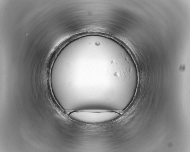 X0000093761115200711131142