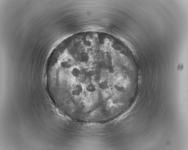 X0000093761117200711131142