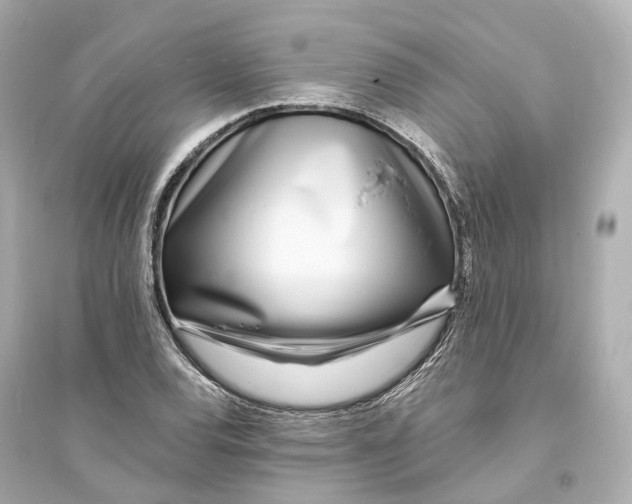 X0000093761120200711131142