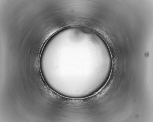 X0000093761121200711131142