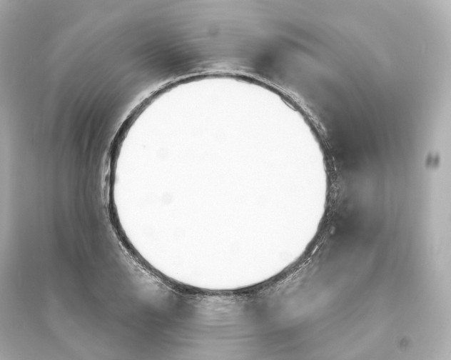 X0000093761126200711131142