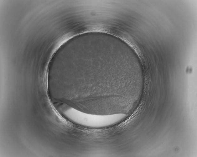 X0000093761127200711131142