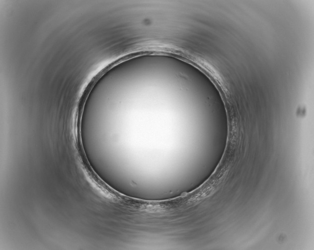 X0000093761128200711131142