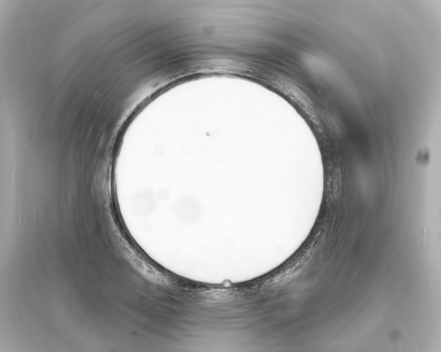 X0000093761130200711131142