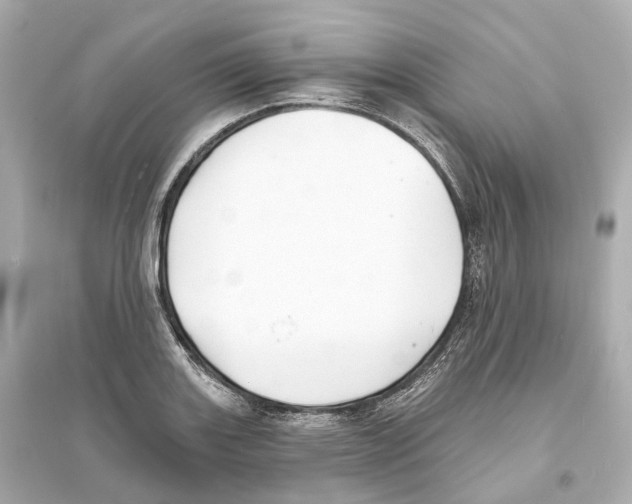 X0000093761131200711131142