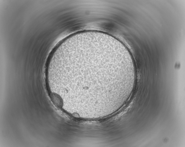 X0000093761133200711131142