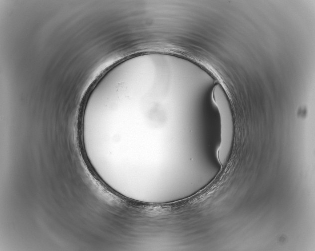 X0000093761139200711131142