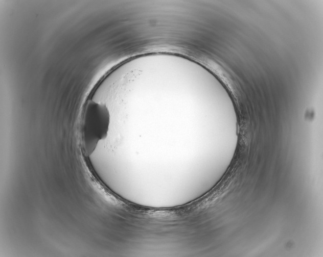 X0000093761140200711131142