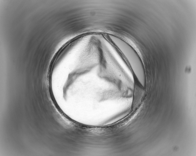 X0000093761141200711131142