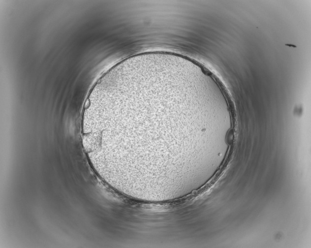 X0000093761145200711131142