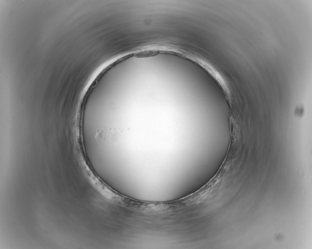 X0000093761148200711131142