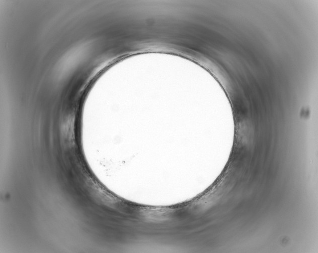 X0000093761150200711131142