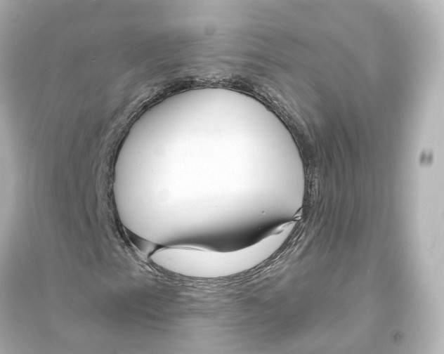 X0000093761153200711131142