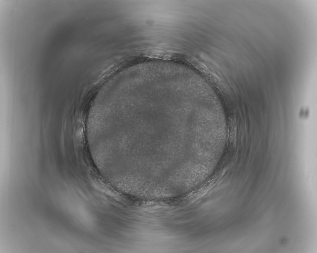 X0000093761154200711131142