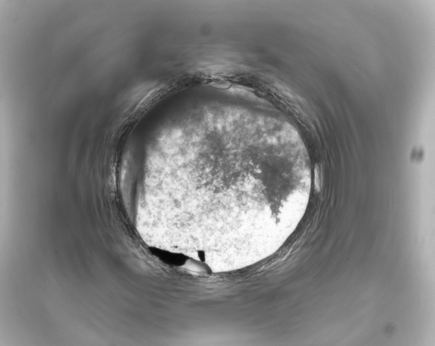 X0000093761155200711131142