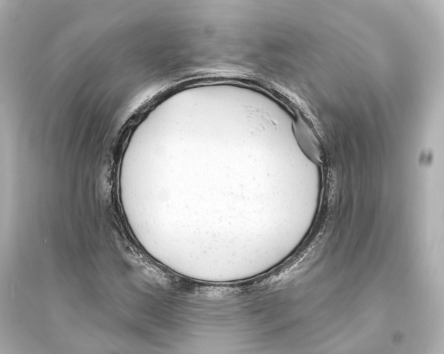 X0000093761163200711131142