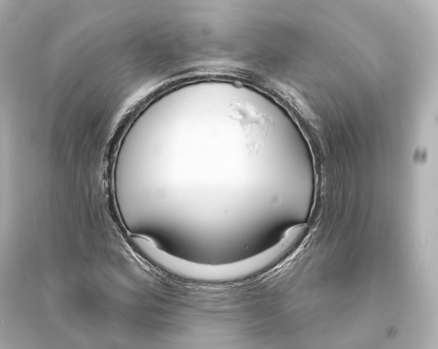 X0000093761164200711131142