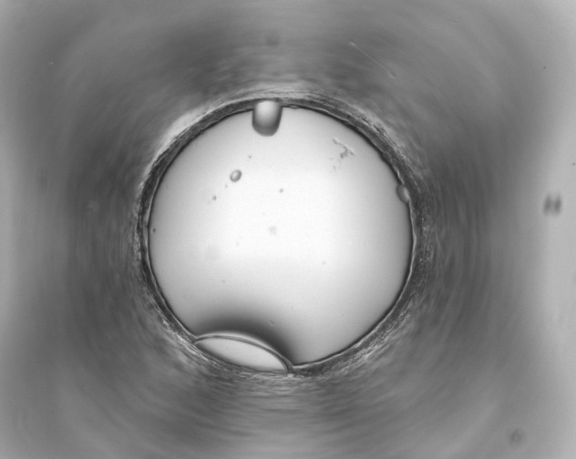 X0000093761168200711131141