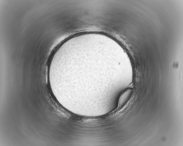 X0000093761171200711131141