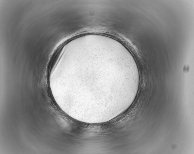 X0000093761174200711131141