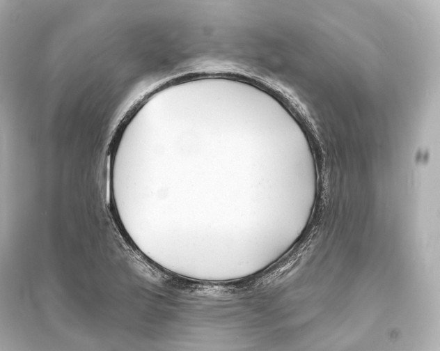 X0000093761175200711131141