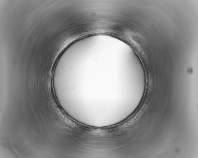 X0000093761178200711131141