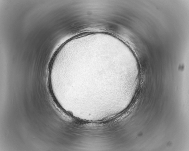 X0000093761179200711131141