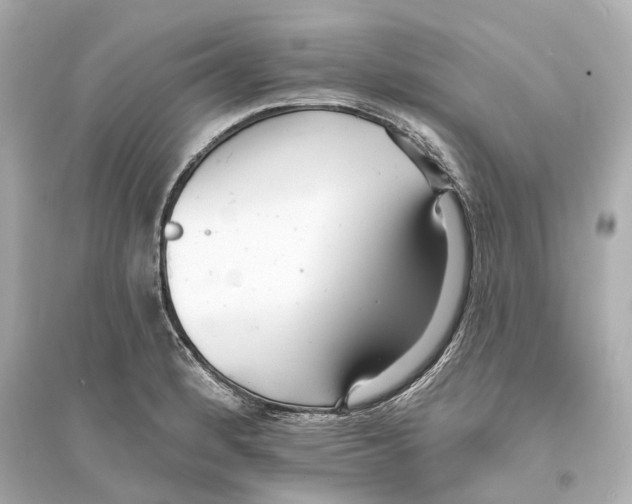 X0000093761184200711131141