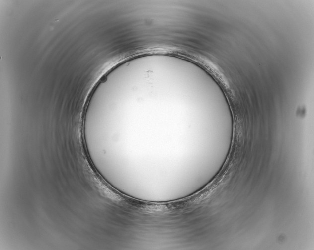 X0000093761186200711131141