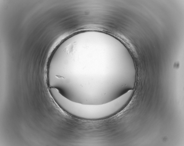 X0000093761188200711131141