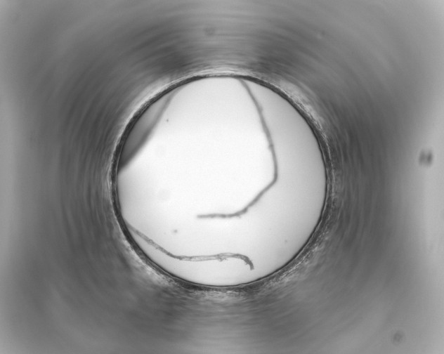 X0000093761189200711131141