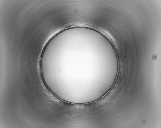 X0000093761190200711131141