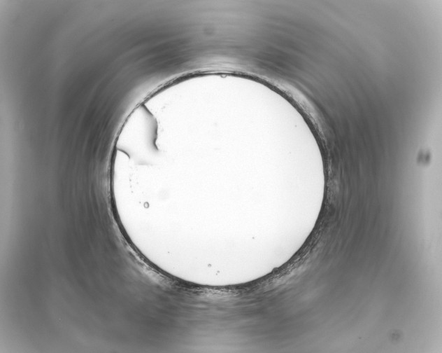 X0000093761191200711131141