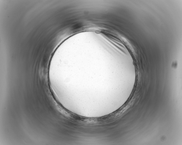 X0000093761194200711131141