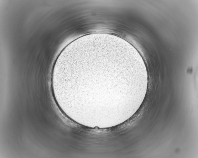 X0000093761195200711131141