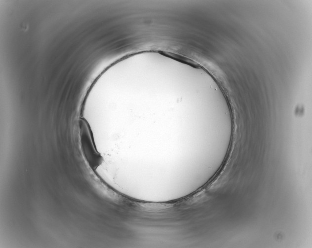 X0000093761200200711131141