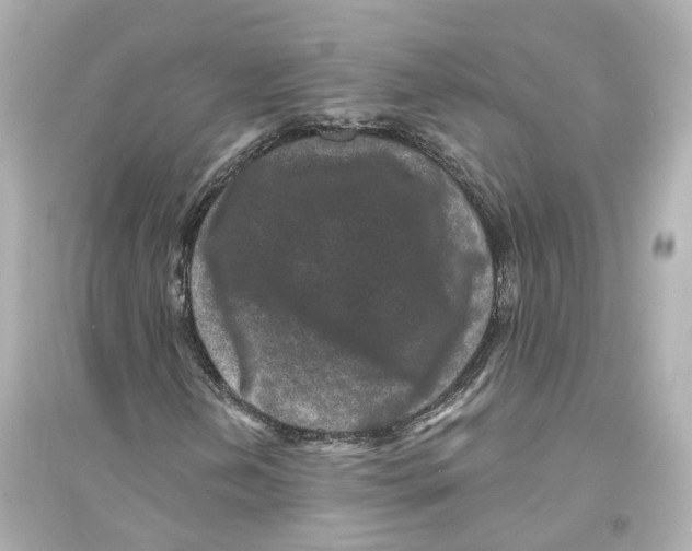 X0000093761202200711131140