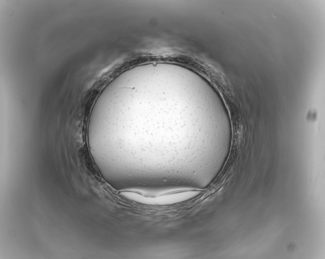 X0000093761205200711131140