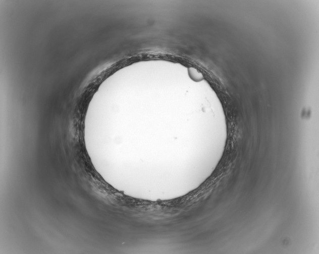 X0000093761207200711131140