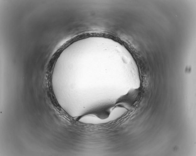 X0000093761208200711131140