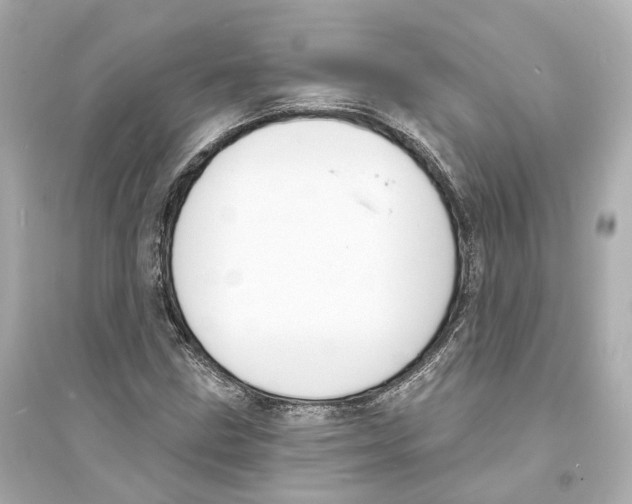 X0000093761211200711131140